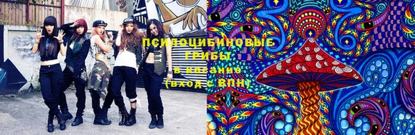 метадон Абинск